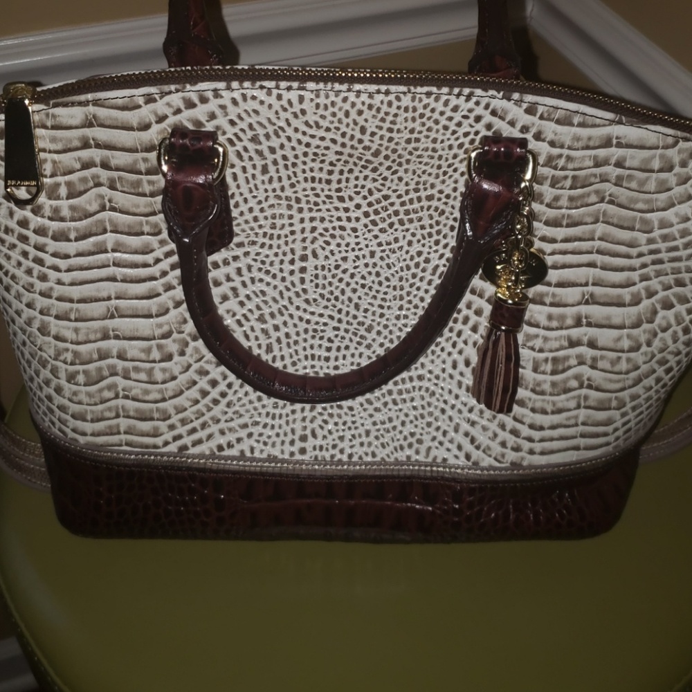 Brahmin with dusk bag